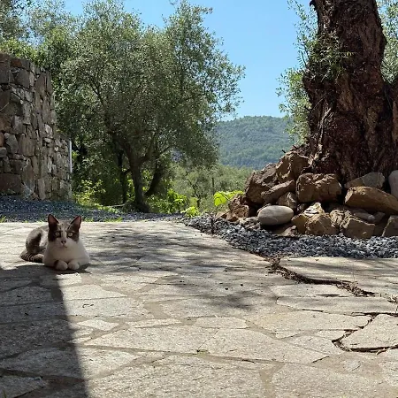 Villa Host4u - Cuccarello With Stunning View On The Valley